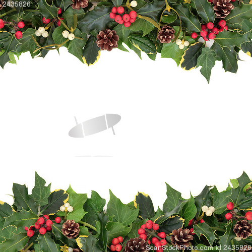 Image of  Christmas Floral Border