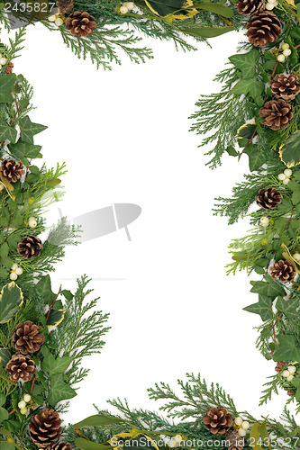Image of Winter Floral Border