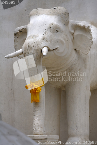 Image of Elephant