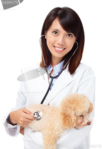 Image of Asian veterinarian with poodle