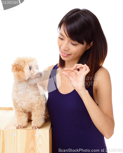 Image of Asian woman feeding poodle