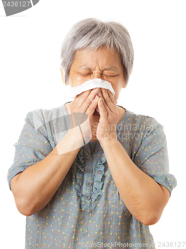 Image of Sneezing asian elderly woman