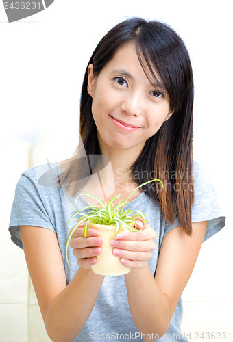 Image of Asian woman holding potted plant