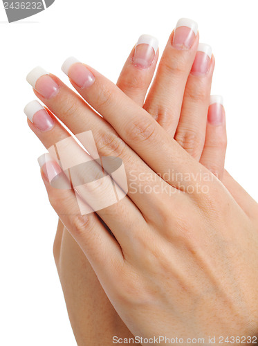 Image of Manicure on female hands