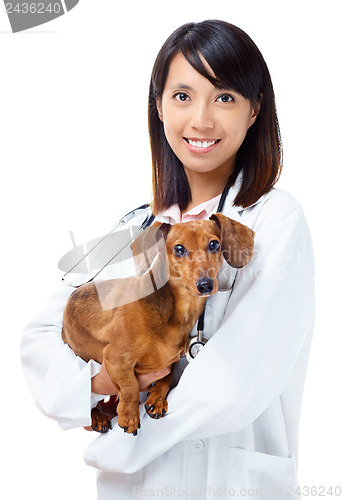 Image of Veterinarian with dachshund dog