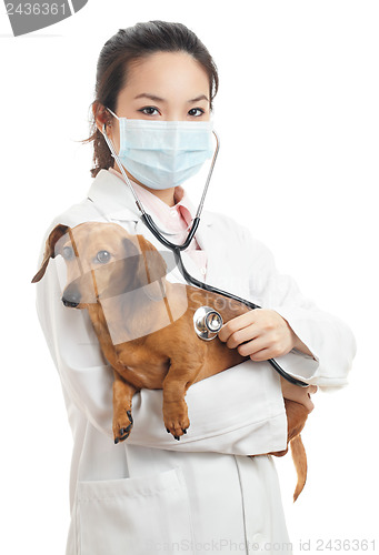 Image of Asian female veterinarian
