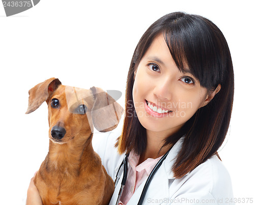 Image of Veterinarian with dachshund dog