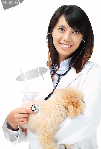 Image of Asian veterinarian with poodle