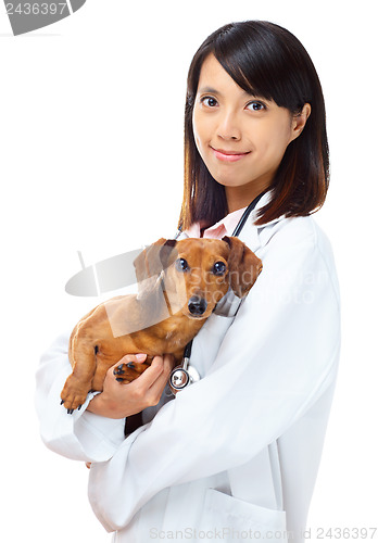 Image of Veterinarian with dachshund dog