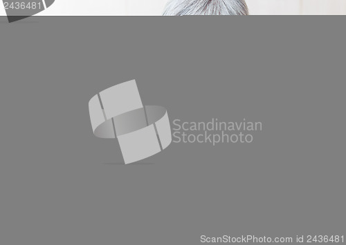 Image of Asian senior woman with digital table