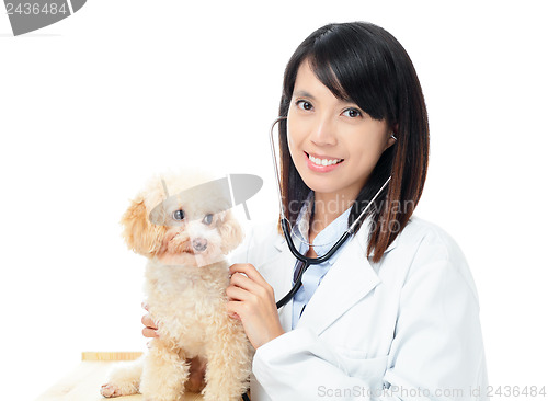 Image of Asian female veterinarian