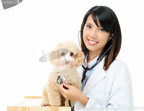 Image of Asian female veterinarian