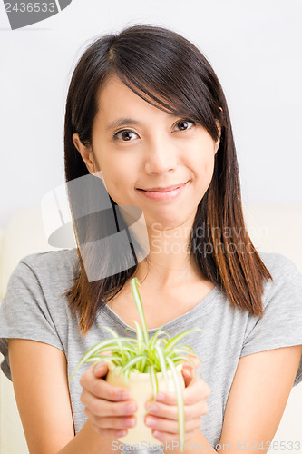 Image of Asian woman with potted plant
