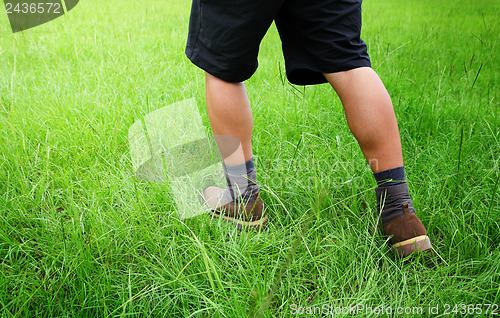 Image of Male legs in lawn 