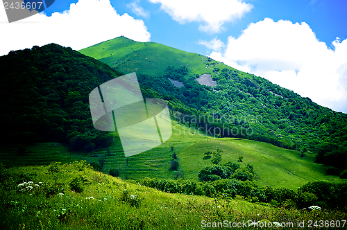 Image of Green Hills