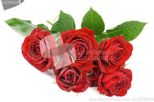 Image of Red Roses