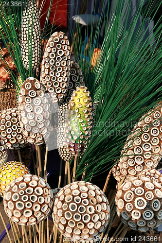 Image of Magic flowers