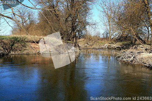 Image of Springtime