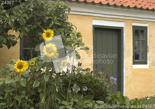 Image of house in garden