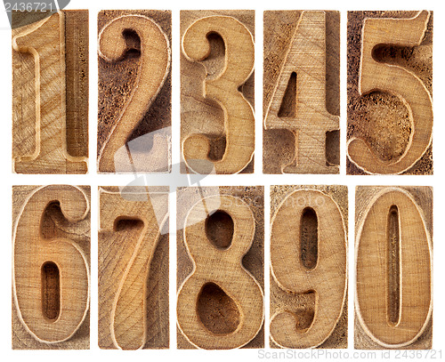 Image of wood type numbers isolated