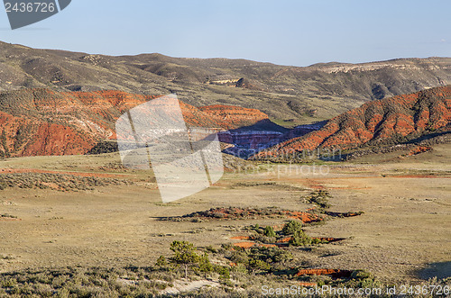 Image of Red Mountain arroyo