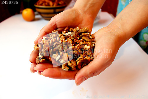 Image of heap of ripe seeds of walnuts