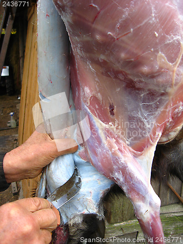 Image of person cuts meat of a goat