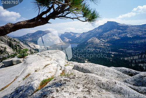 Image of Yosemite National Park