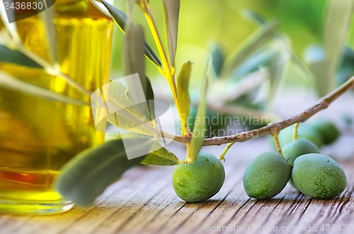 Image of  olive oil on old wooden table