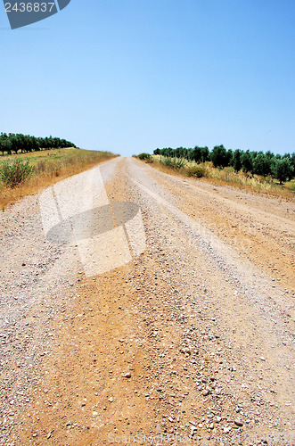 Image of road at Alentejo, south of Portugal.