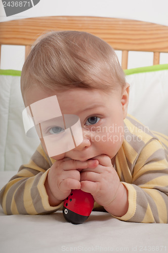 Image of Baby boy in cradle