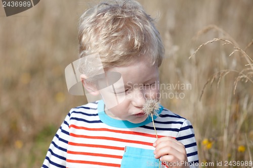 Image of boy at summer