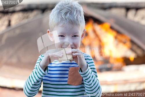 Image of eating smores