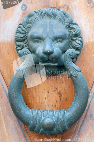 Image of Vintage knocker door of metal lion