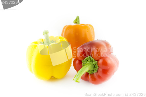 Image of Group of colorful sweet bell pepper