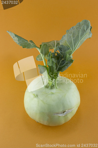 Image of Cabbage kohlrabi 