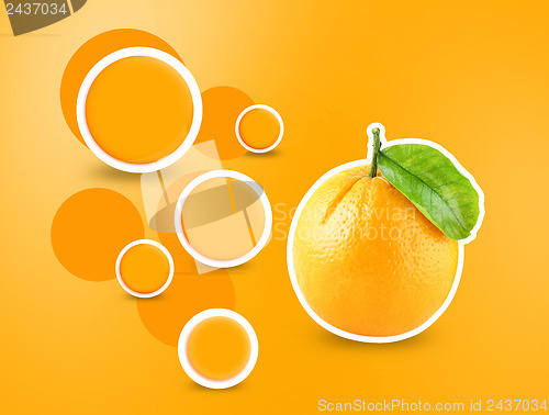 Image of Orange