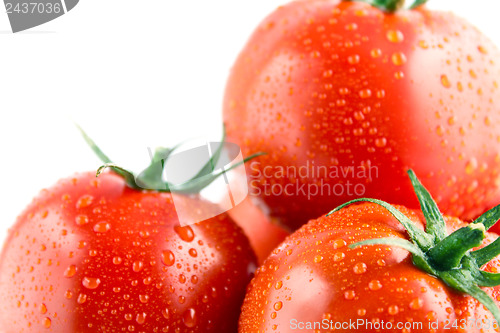 Image of fresh tomatoes