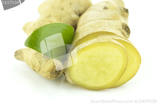 Image of Fresh Ginger root 