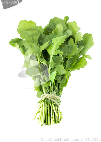 Image of Green Rocket or Roquette leaves