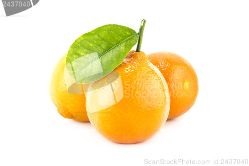 Image of Sweet Orange Fruit with leaves. 