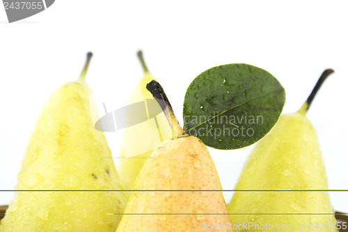 Image of Fresh Green Pears