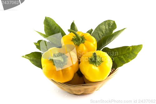 Image of Yellow sweet pepper 