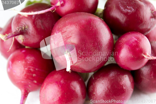 Image of Small garden red radish