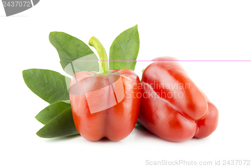 Image of Red sweet pepper