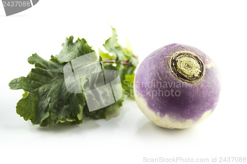 Image of purple headed turnips 