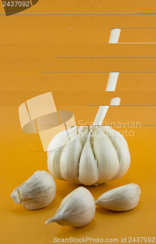 Image of Garlic