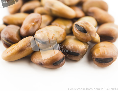 Image of fava beans