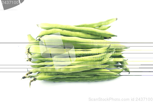 Image of broad bean pods