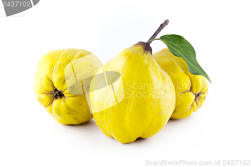 Image of sweet quinces